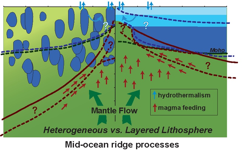 MidOcean ridge processes